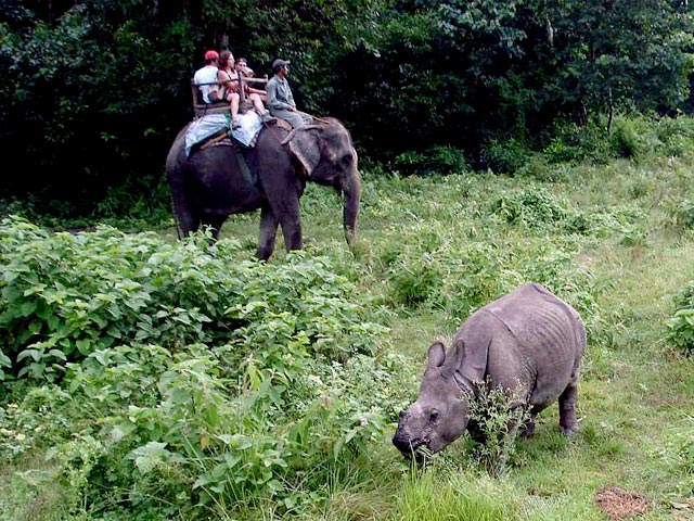 Kathmandu - Chitwan Tour