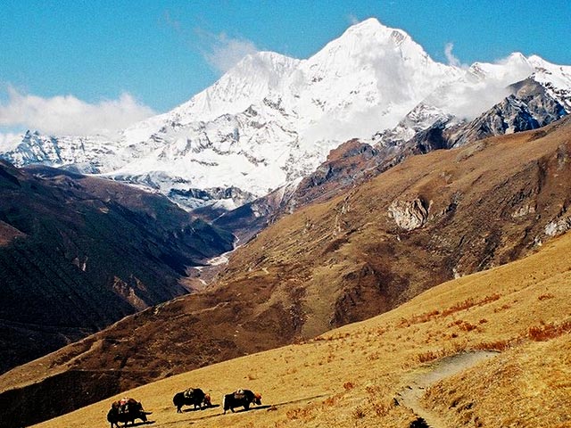 Laya Gasa Trekking, Bhutan