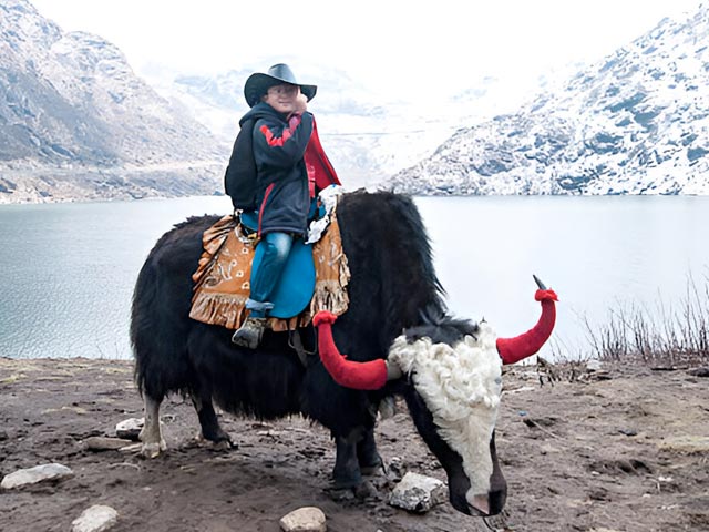Yak Riding
