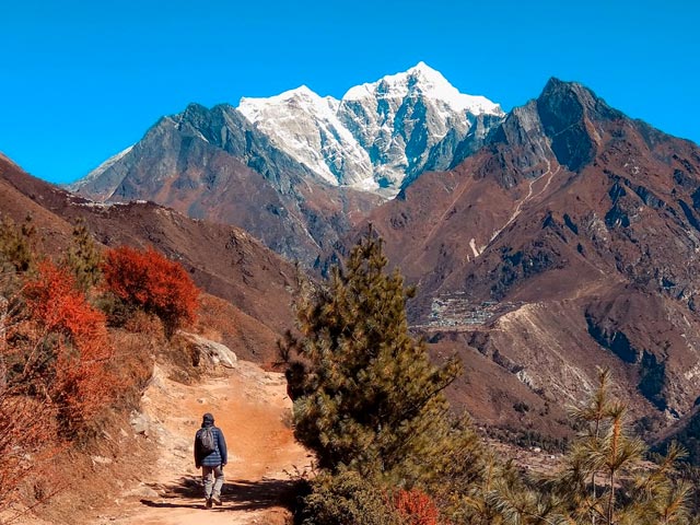 Yambong Singalila Trek