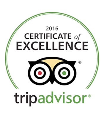 TripAdvisor 2016