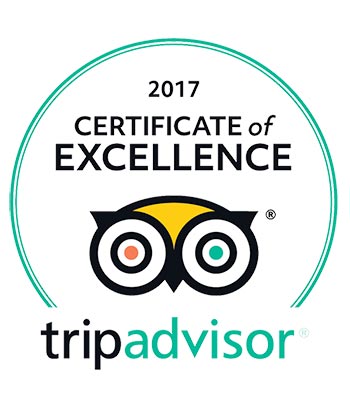 TripAdvisor 2017