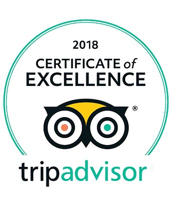 TripAdvisor 2018