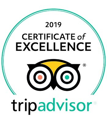 TripAdvisor 2019