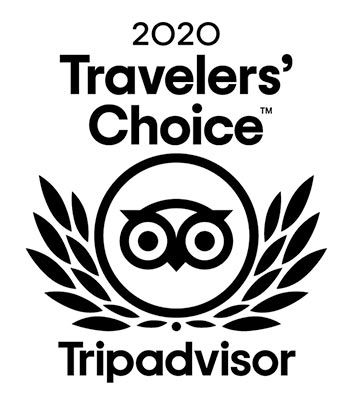 TripAdvisor 2020
